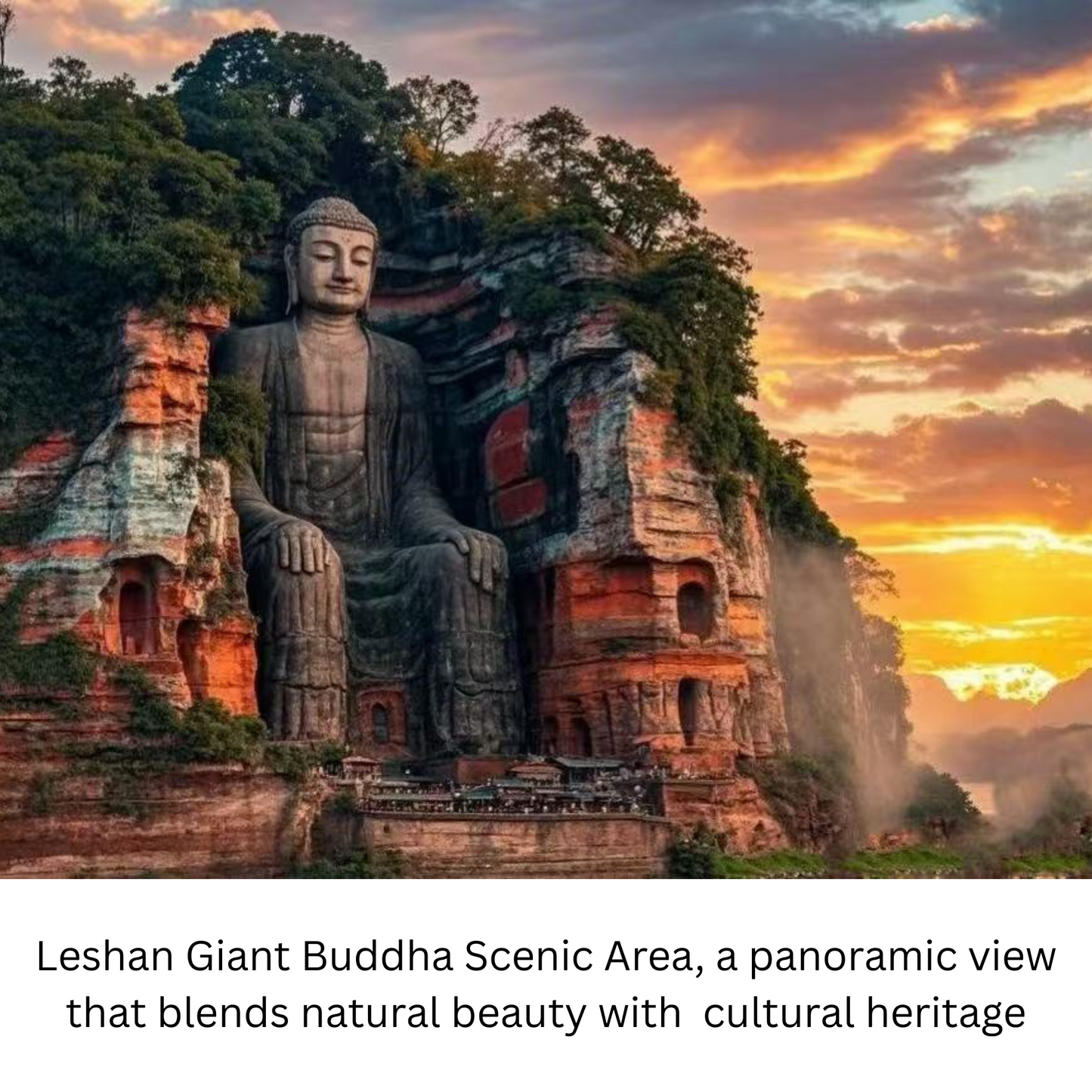 Travel Redemption Voucher (Peak Season): Chengdu 1-day group tour, Panda Base & Leshan Giant Buddha